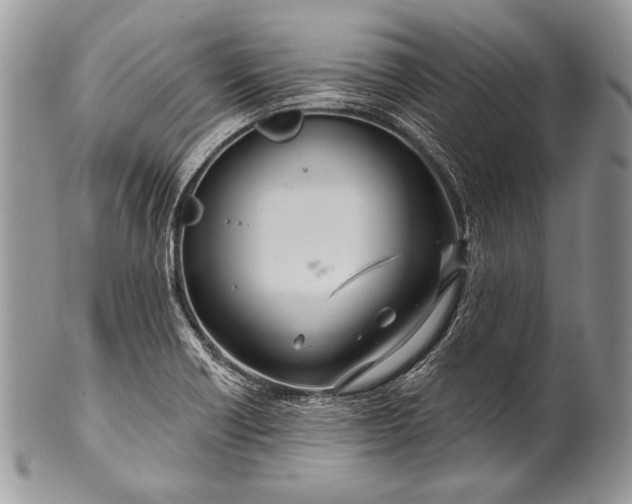 X0000100361418200806201553