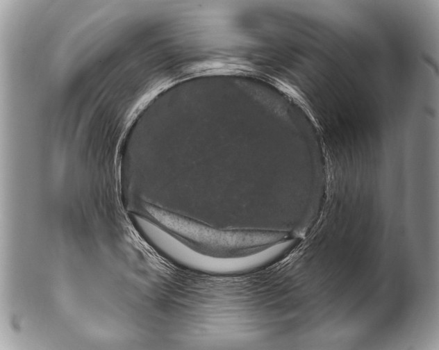 X0000100361419200806201553