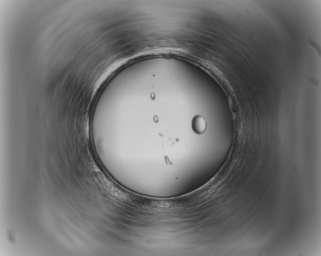 X0000100361420200806201554