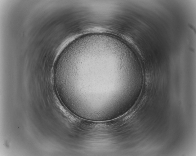 X0000100361421200806201554