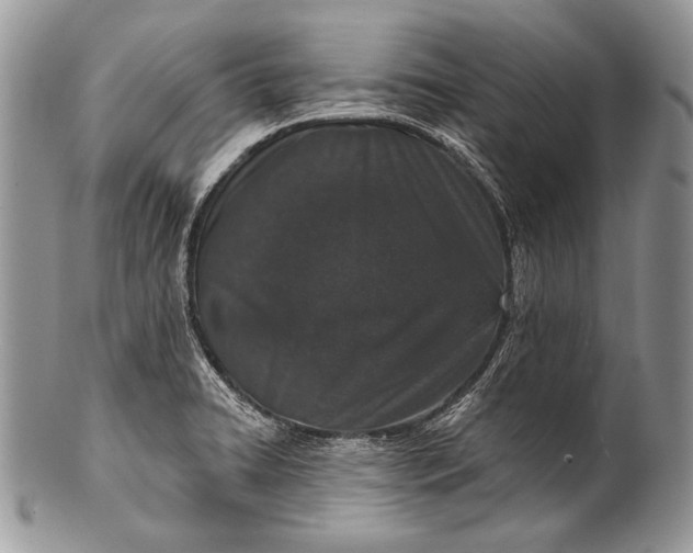 X0000100361422200806201554