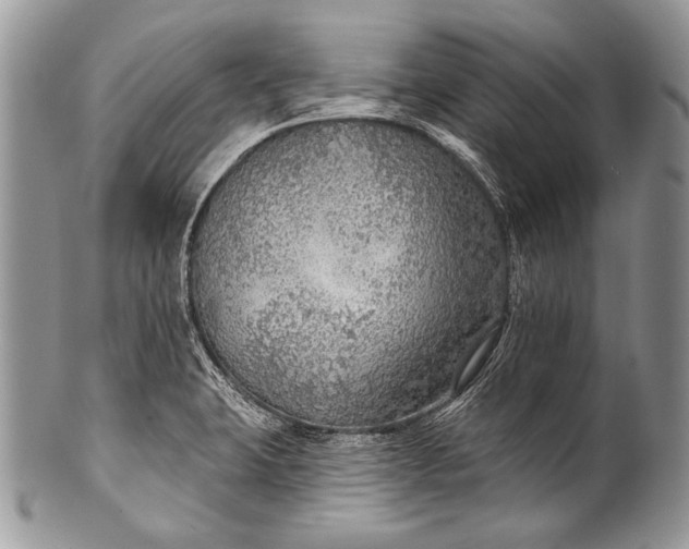 X0000100361423200806201554