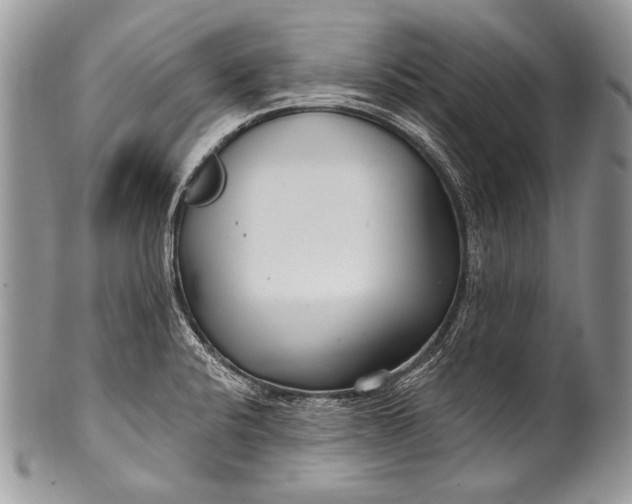 X0000100361424200806201554