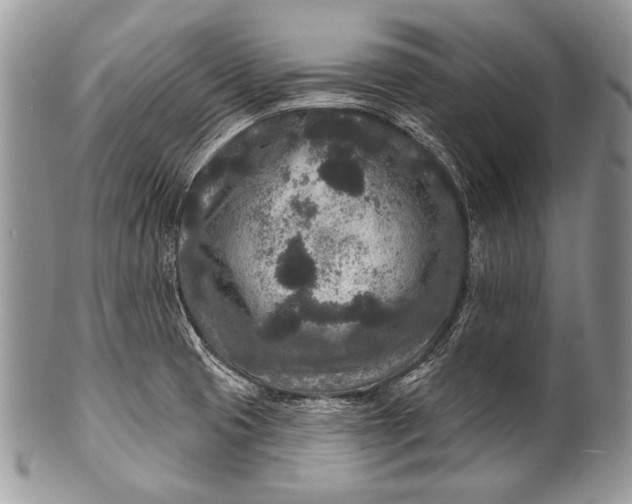 X0000100361425200806201554