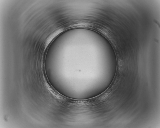 X0000100361426200806201554