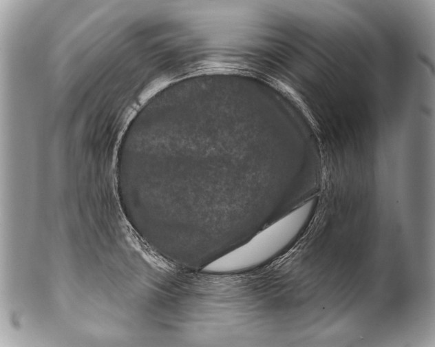 X0000100361427200806201554