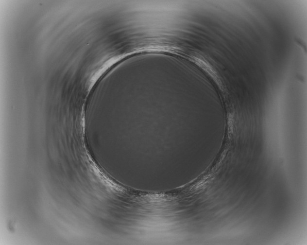 X0000100361428200806201554