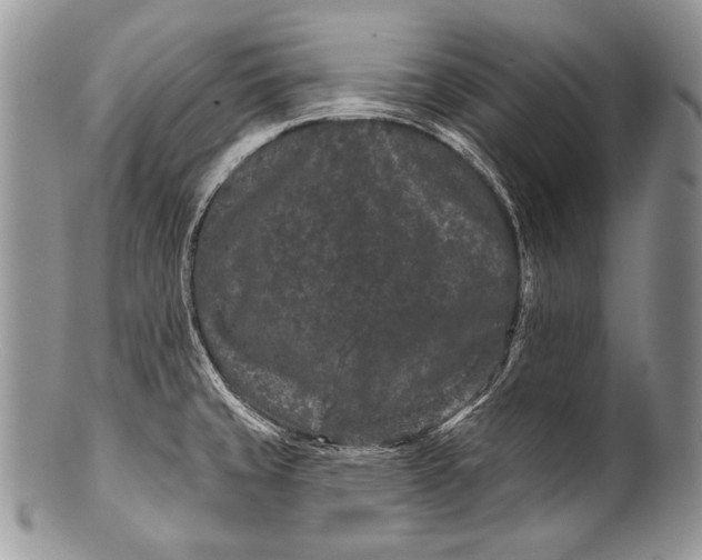 X0000100361429200806201554