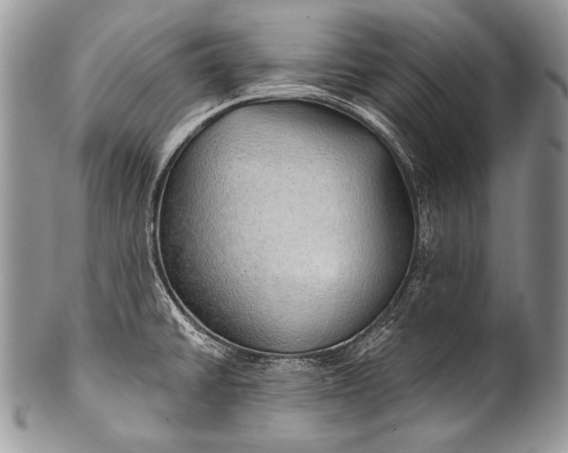 X0000100361430200806201554