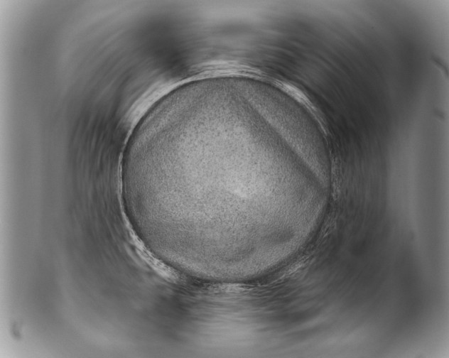 X0000100361431200806201554