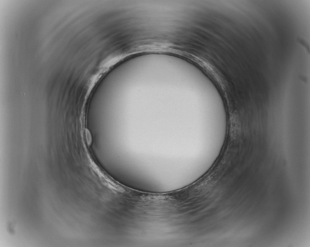 X0000100361432200806201554