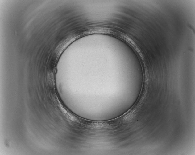 X0000100361433200806201554