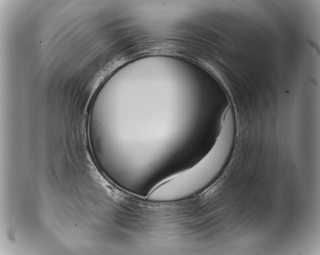 X0000100361434200806201554