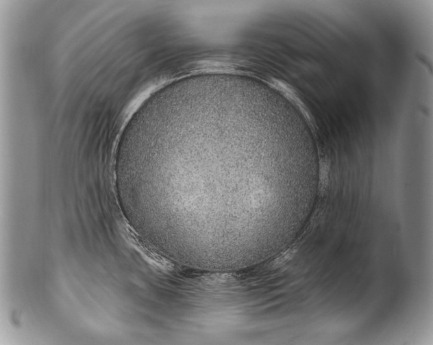 X0000100361435200806201554