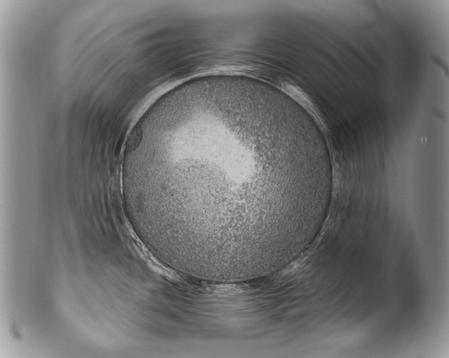 X0000100361436200806201554