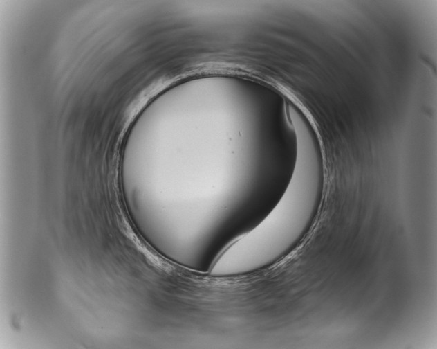 X0000100361437200806201554