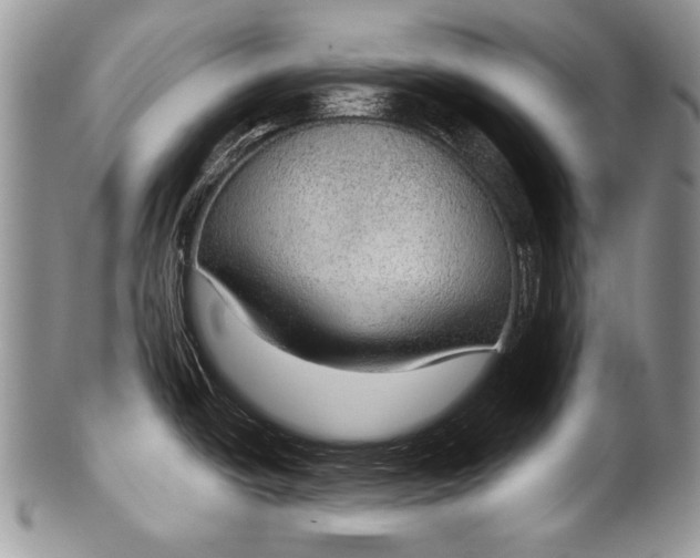 X0000100361438200806201554