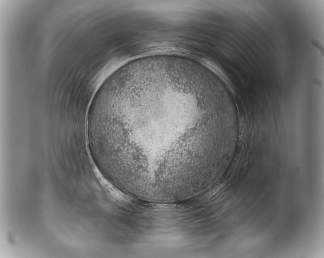 X0000100361439200806201554