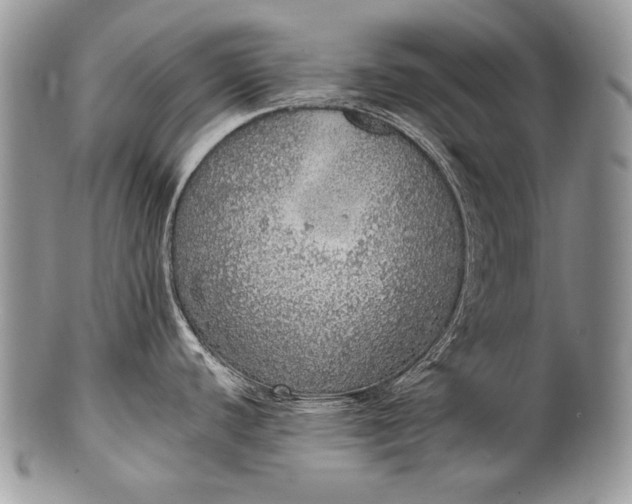 X0000100361440200806201554