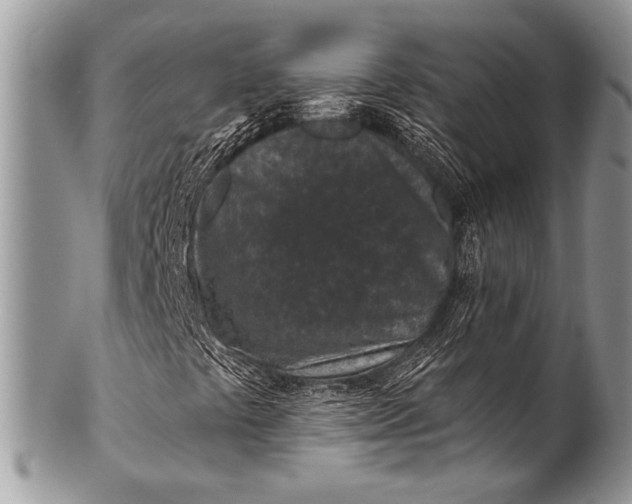 X0000100361441200806201553