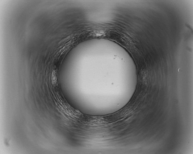 X0000100361442200806201553