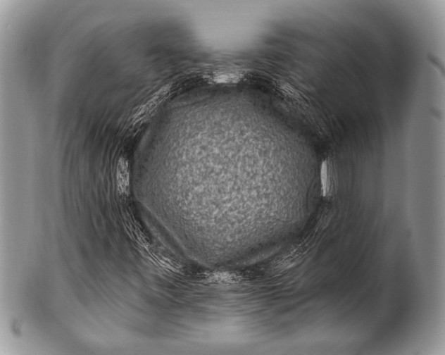 X0000100361443200806201553