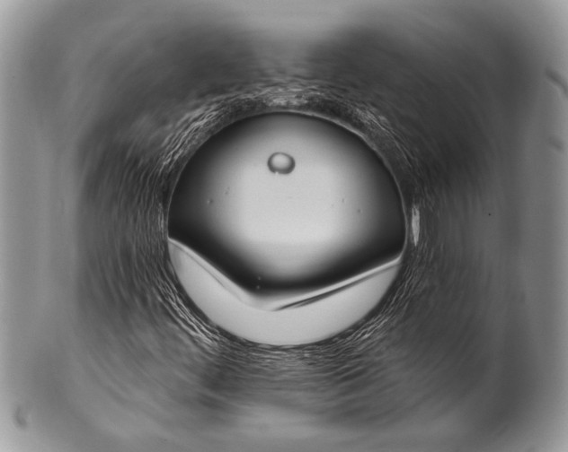 X0000100361444200806201553