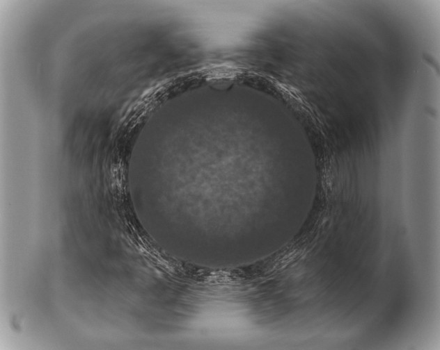 X0000100361445200806201553