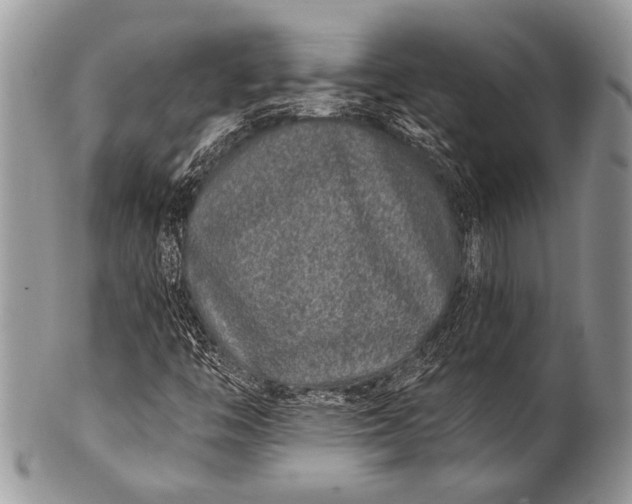 X0000100361446200806201553