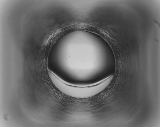 X0000100361447200806201553