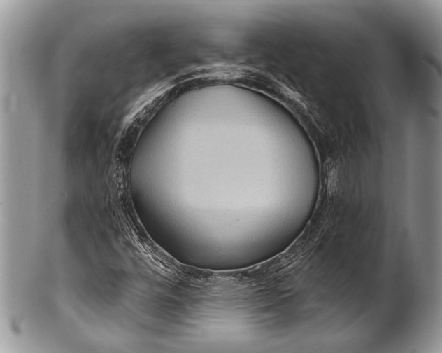 X0000100361448200806201553