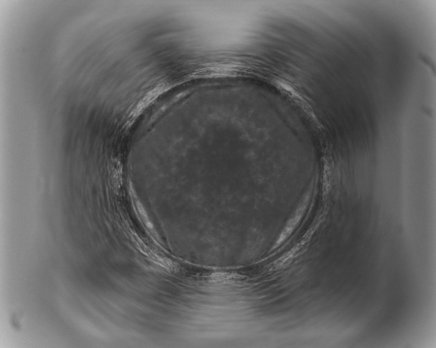 X0000100361449200806201553