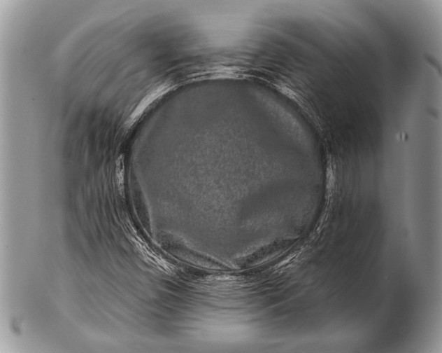 X0000100361450200806201553