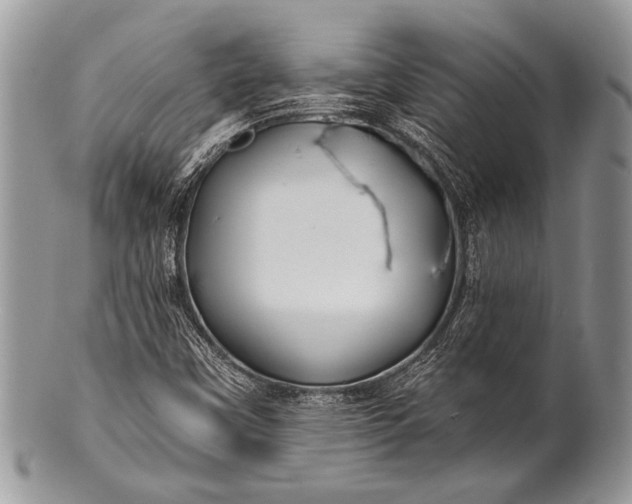 X0000100361451200806201553