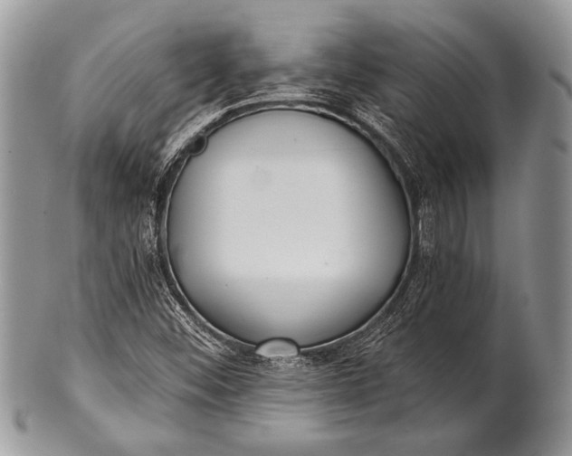 X0000100361452200806201553