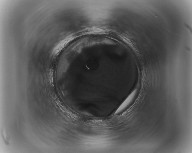 X0000100361455200806201553