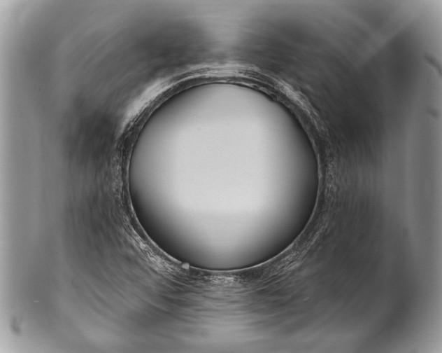 X0000100361456200806201553