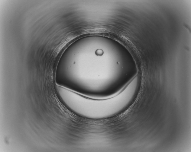 X0000100361457200806201553