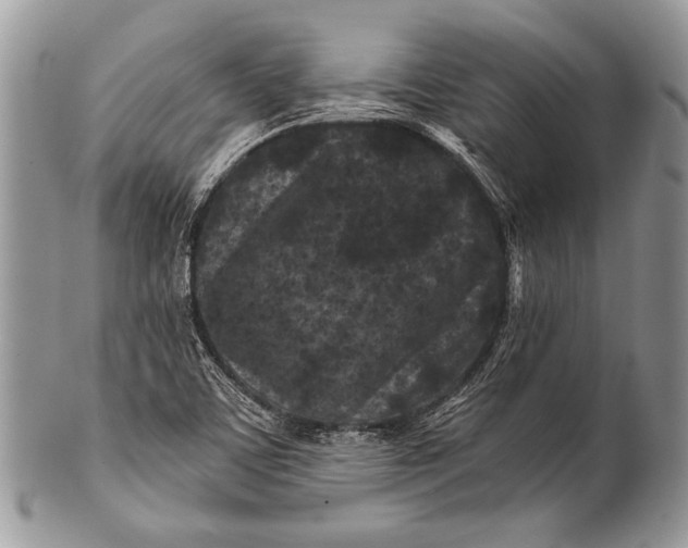 X0000100361459200806201553