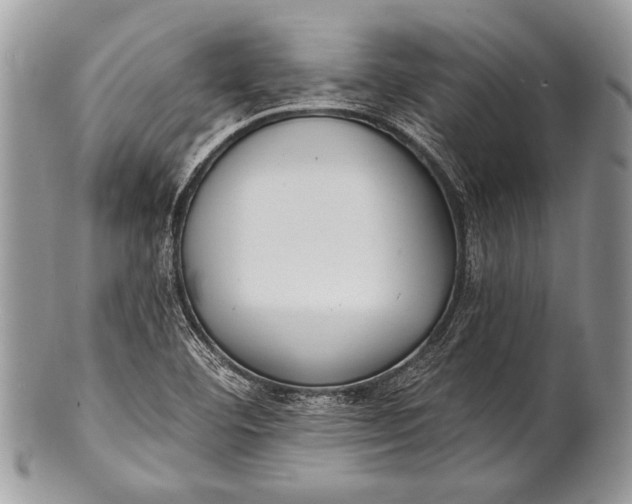 X0000100361460200806201553