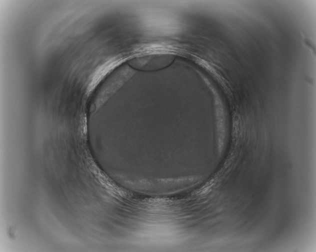 X0000100361461200806201553