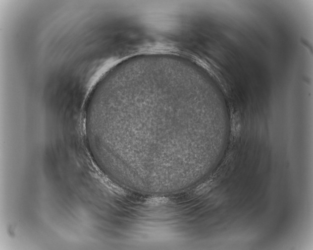 X0000100361462200806201553