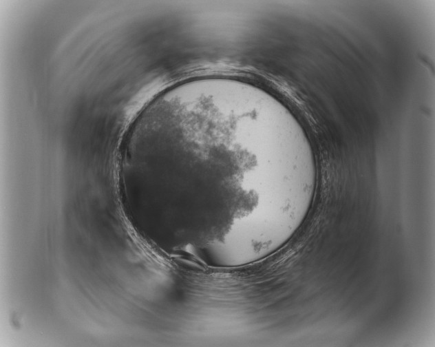 X0000100361463200806201553