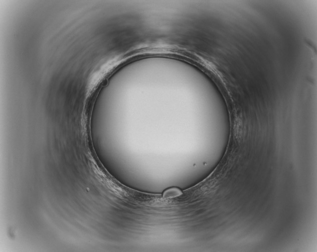 X0000100361464200806201553