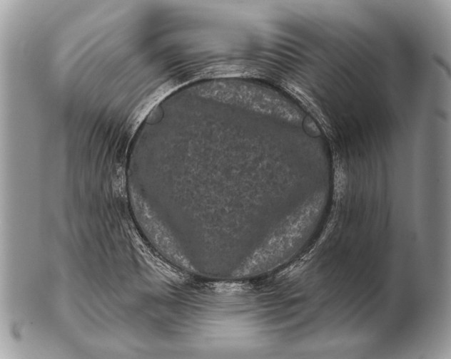 X0000100361465200806201553