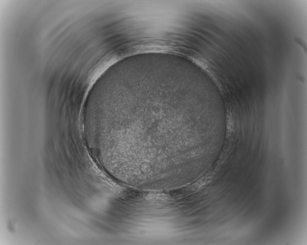 X0000100361466200806201553