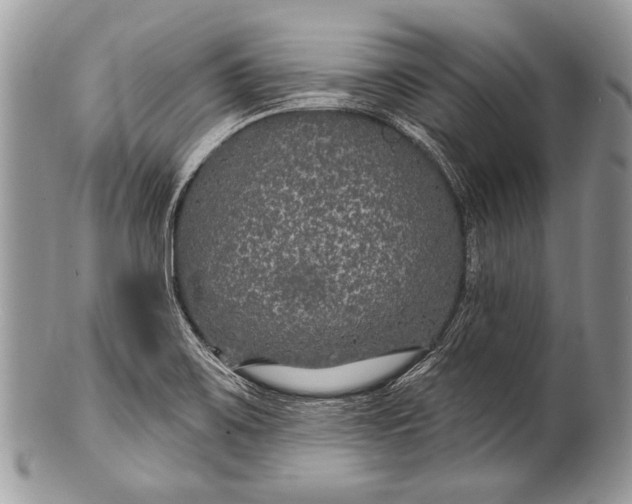 X0000100361467200806201553