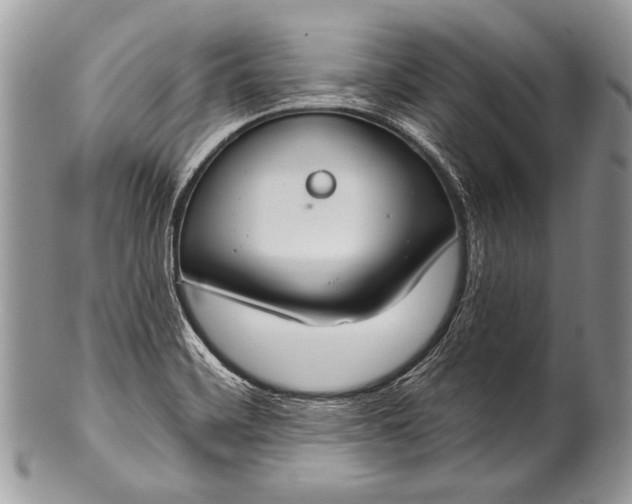 X0000100361468200806201553