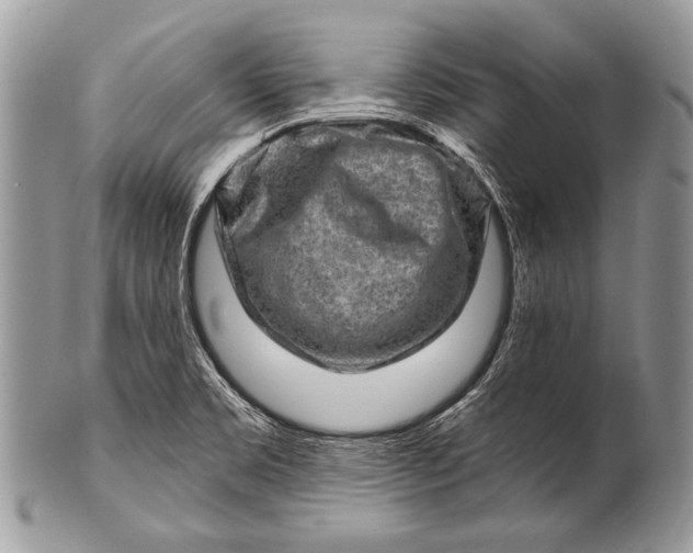 X0000100361469200806201553