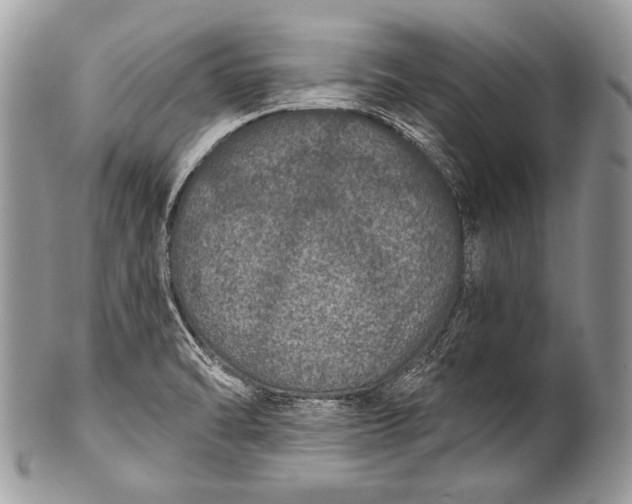 X0000100361470200806201553